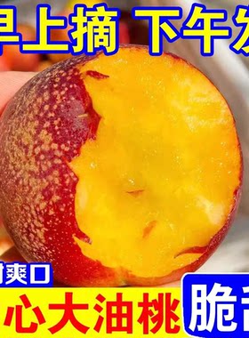 现摘黄心油桃脆甜5斤桃子应当季新鲜水果整箱黄肉超甜脆桃非麻点
