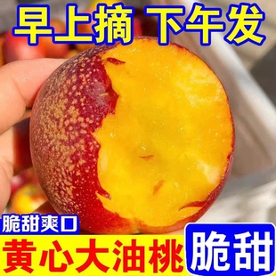 现摘黄心油桃脆甜5斤桃子应当季新鲜水果整箱黄肉超甜脆桃非麻点