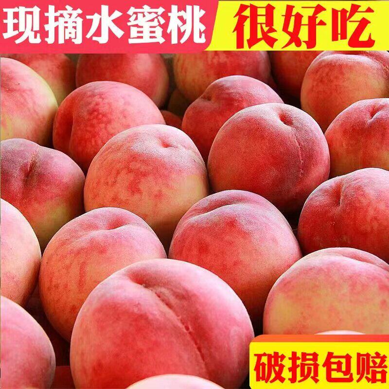 现摘水蜜桃脆桃脆甜新鲜大毛桃桃子应季水果孕妇水果整箱包邮