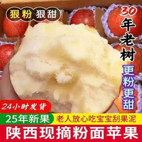 粉面沙甜软糯苹果老人宝宝刮泥红星秦冠非花牛新鲜水果5/9斤整箱