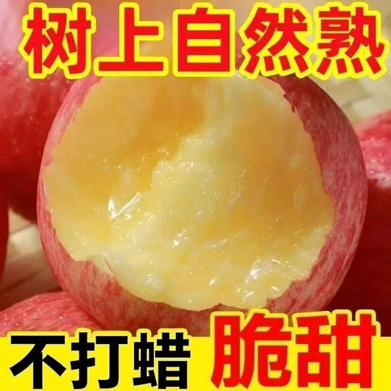 陕西洛川红富士苹果新鲜水果冰糖心脆甜当季大果非烟台红富士苹果