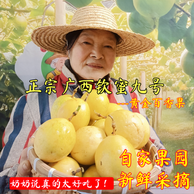 正宗钦蜜九号黄金百香果9斤甜蜜整箱新鲜自家果园新现摘产地直发
