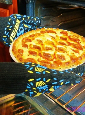 BlueFire Gloves BBQ Grill Firepit Heat Resistant 防护手套