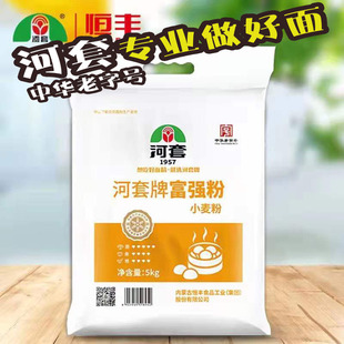 内蒙河套牌富强粉通用家庭装面粉高筋包子饺子馒头中式面点粉10斤