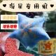 海星专用饲料海星粮海星增色粮海星食物营养不浑水派大星食物