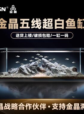 BESSN鱼缸玻璃缸客厅溪流缸超白大号鱼缸裸缸小型生态缸龟缸