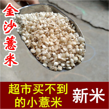 正宗福建仙游金沙薏米仁新货药用薏仁米500g薏苡仁农家新鲜小薏米