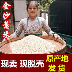 2025年薏米仁新货金沙薏米薏仁米中药材薏苡仁药用新鲜福建小薏米