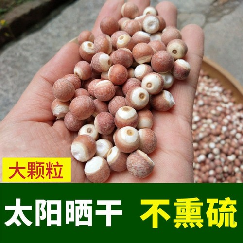 大粒芡实干货500g鸡头米