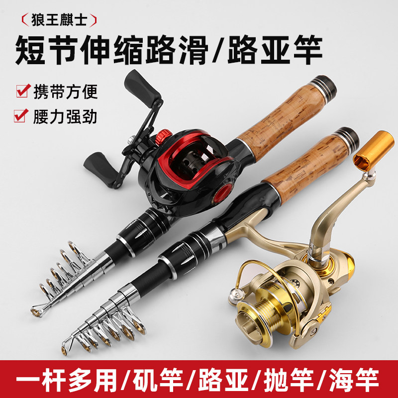 便携伸缩路亚竿路滑杆套装
