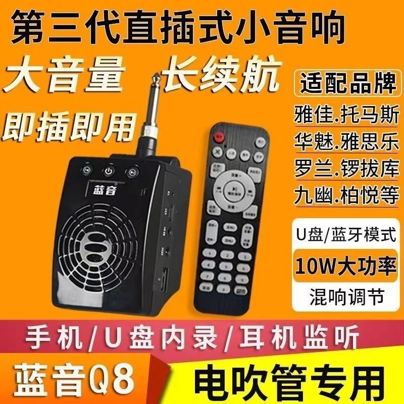蓝音Q8电吹管直插式小音箱监听直播内录混响华魅雅佳罗兰乐器音响