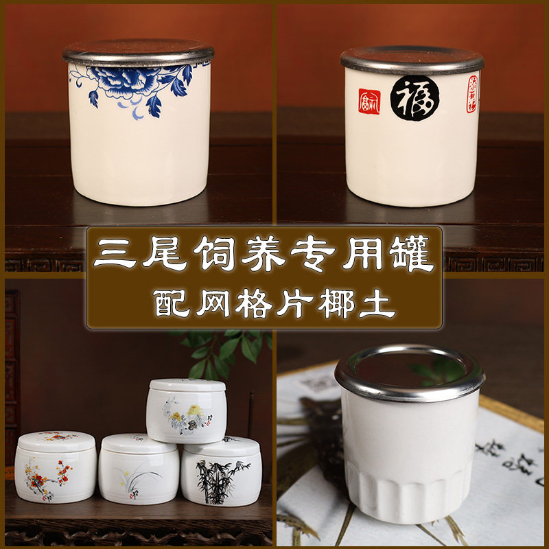 蛐蛐蟋蟀油葫芦专用三尾母子饲养产卵器不锈钢盖瓷罐送椰土网格片