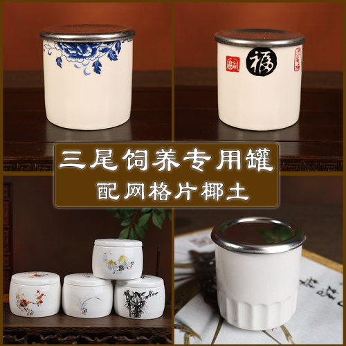 三尾母子饲养产卵盒不锈钢盖瓷罐