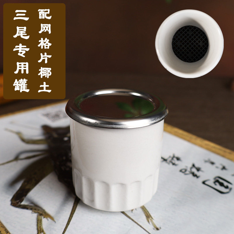 蛐蛐蟋蟀油葫芦专用三尾母子饲养产卵器不锈钢盖瓷罐送椰土网格片