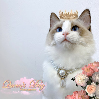【papa喵】宠物猫咪狗狗项链复古巴洛克珍珠项链女王装饰泰迪布偶