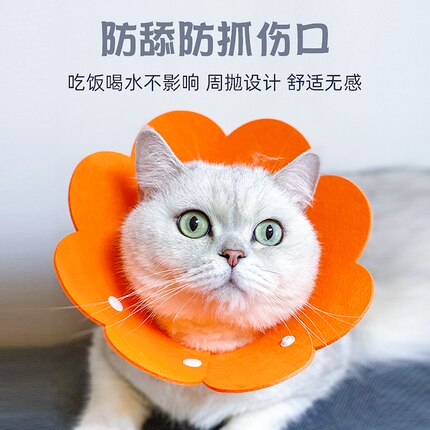 太阳花伊丽莎白圈毛毡材质轻薄头套猫咪项圈脖圈防舔耻辱圈绝育用