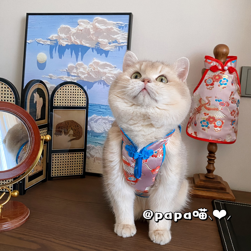 宠物旗袍狗狗唐装背心衣服