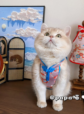 宠物旗袍狗狗唐装背心衣服