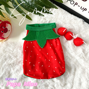 精致小草莓菠萝宠物小衣服猫衣服夏季 吊带防掉毛宠物狗狗衣服可爱