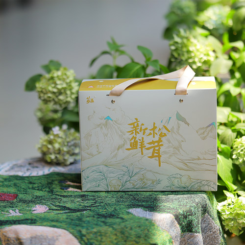 芗玉小金产地新鲜松茸原创礼盒