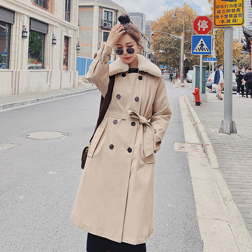 浙宝333 ZB333666 浙宝333 ZB333666