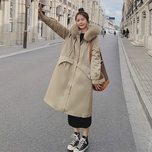 浙宝333 ZB333999 浙宝333 ZB333999