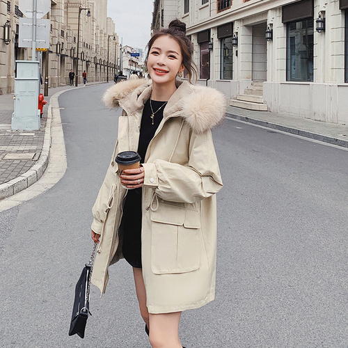 浙宝333 ZB333911 浙宝333 ZB333911