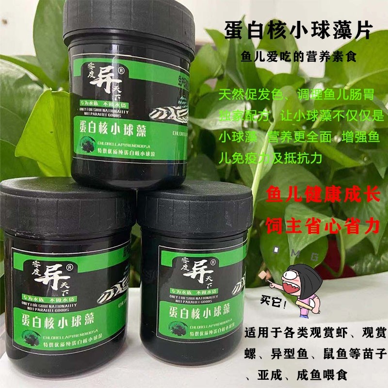 菠菜片种鱼爆卵荤螺旋藻成长蛋白核小球藻小球藻开口片底栖粮包邮