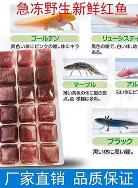 新鲜冰冻红血虫赤虫恐龙六角饲料