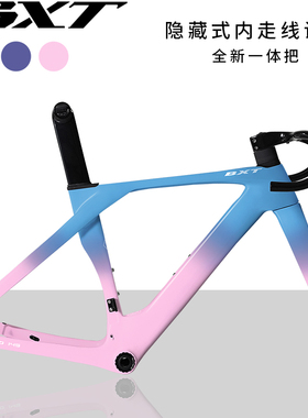 BXT Pro145 全碳纤维公路自行碟刹车架组T47螺纹五通带一体弯把