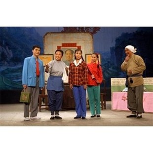 朝阳沟全套戏服银环栓宝巧珍银环妈栓宝娘小品话剧服村姑农民衣服