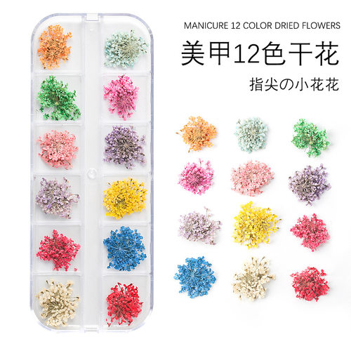 日系美甲12色干花饰品大干花指甲花贴雪珠花美甲装饰品杂志蕾丝花