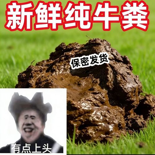 牛粪整蛊整治专治恶人仇人前任男友朋友礼物恶臭无比