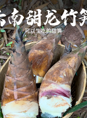 云南普洱甜笋新鲜脆蔬菜顺丰（带壳发  2斤小笋/3斤大小混装）