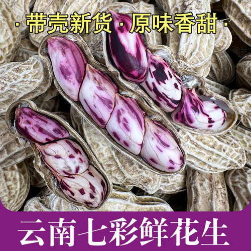 云南七彩花生2/5斤老品种新鲜花生甜脆即食煲汤做菜