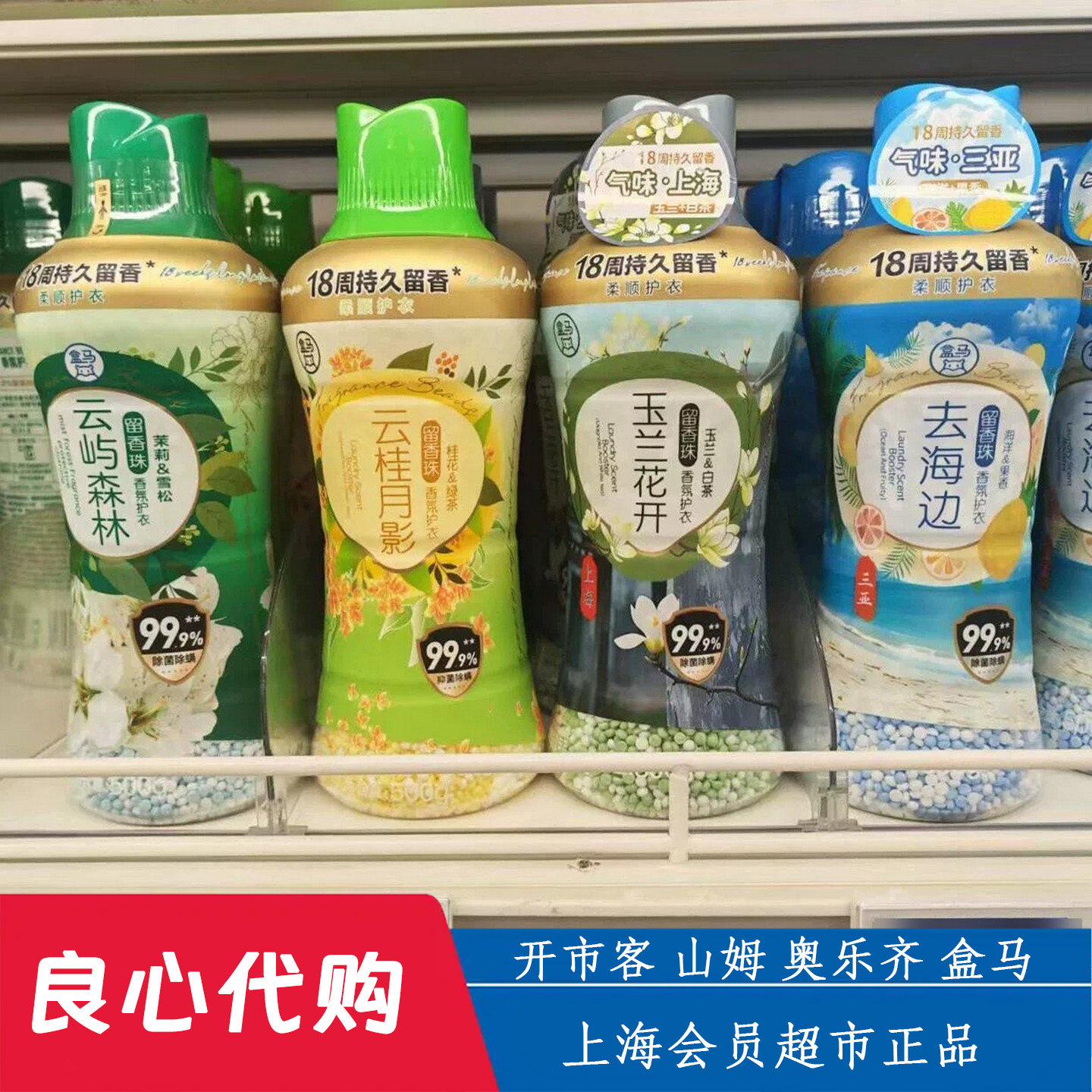 盒马去海边打桂花留香珠云屿森林图片