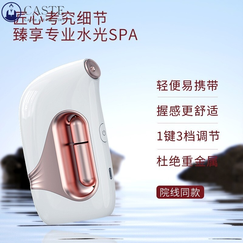 注氧仪美容仪器家用脸部补水精华导入水氧仪手持纳米喷雾美容院