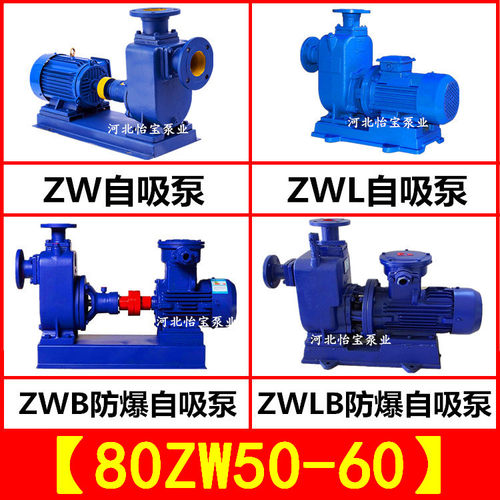 80ZW50-60污水自吸泵 ZWL直连自吸泵 ZWB防爆自吸离心泵 灌溉排涝