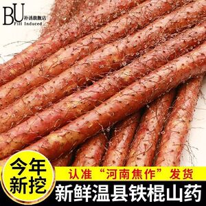 焦作铁棍山药干片温县垆土中药材怀淮山粉片农家食材正宗河南