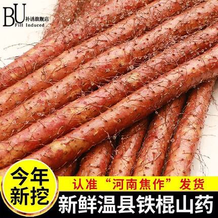 焦作铁棍山药干片温县垆土中药材怀淮山粉片农家食材正宗河南