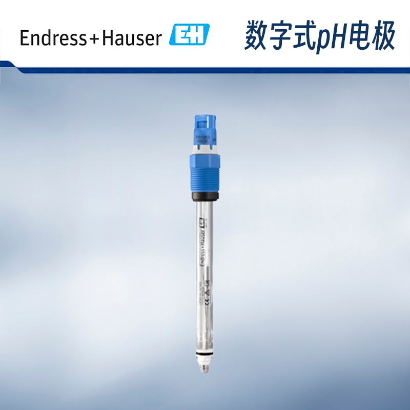 仪器仪表E+HpH数字电极