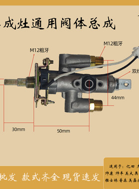 集成灶灶具通用阀体总成