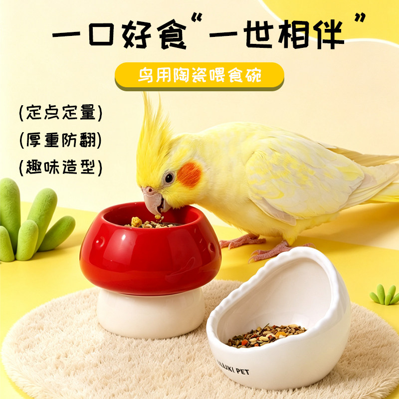 鹦鹉食盒食碗喂食器小鸟食罐陶瓷小碗食盆鹦鹉碗喂鸟器防溅吃饭碗