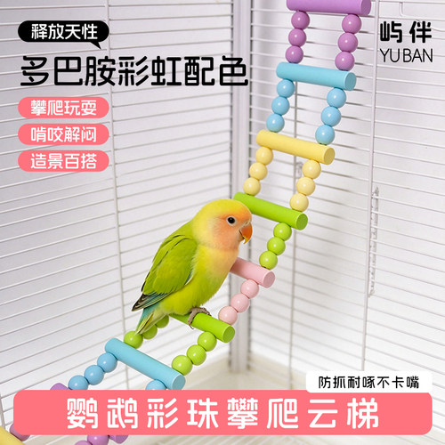 鹦鹉秋千站杆玩具解闷自嗨虎皮玄凤牡丹攀爬云梯吊环鸟笼装饰