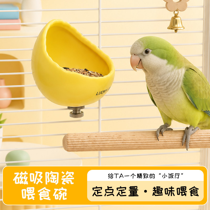 磁吸陶瓷喂食碗定点定量喂养小鸟轻松清洁宠物用品