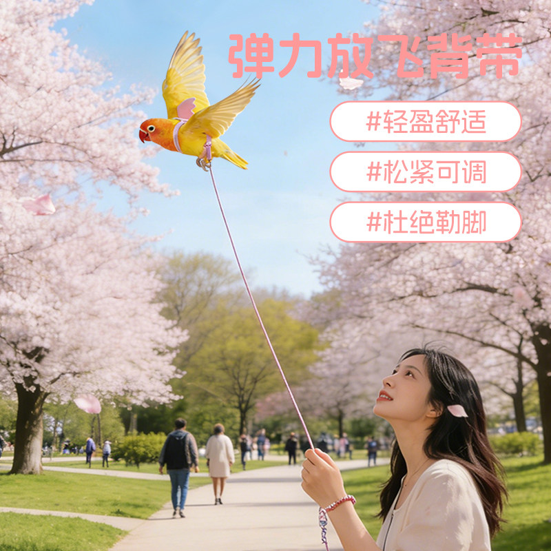 鹦鹉牵引绳外出放飞绳户外遛鸟绳神器玄凤牡丹超轻不伤脚背带小鸟