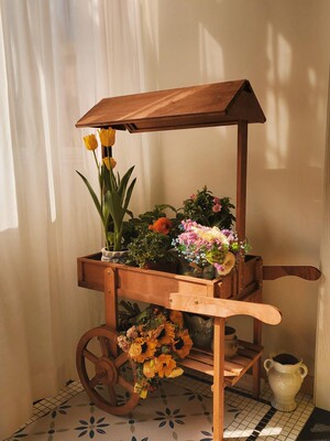 民宿装饰杂货架小花车展示柜橱窗