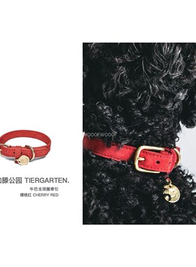 Cloud7 手工牛皮项圈 蒂尔加藤 Tiergarten 德国进口宠物复古项圈