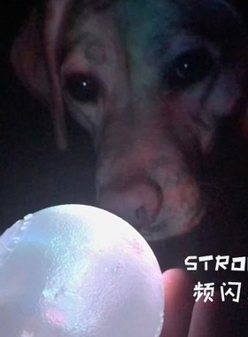 PLANET DOG 益智啃咬漏食玩具 丰荣 NUE狗小课堂第二课