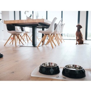 德国HUNTER进口Kimberley钻石切割宠物不锈钢饭盆水碗食盆猫狗碗